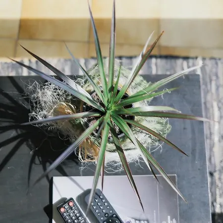 Hostel Mindelo * Mindelo