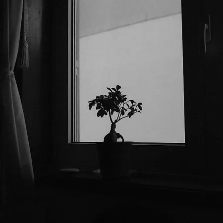 Hostel Mindelo Mindelo