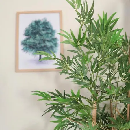 Pensión Hostel Mindelo