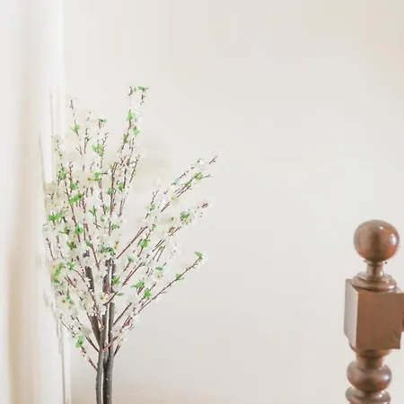 Hostel Mindelo * Mindelo