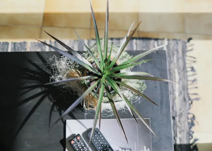 Hostel Mindelo * منديلو