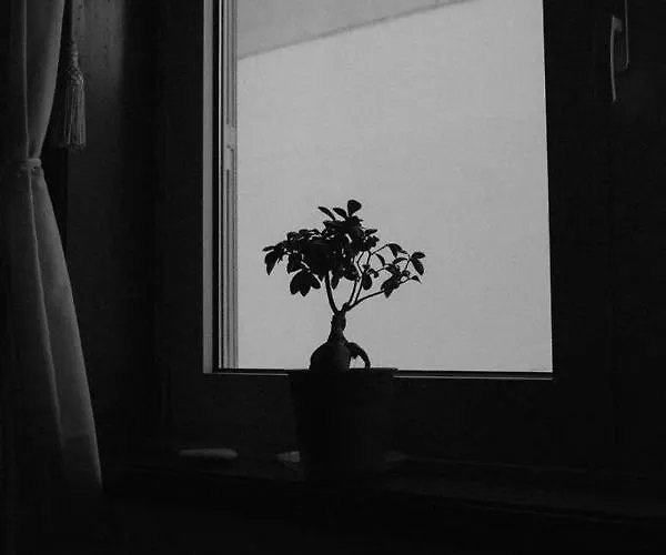 Hostel Mindelo منديلو