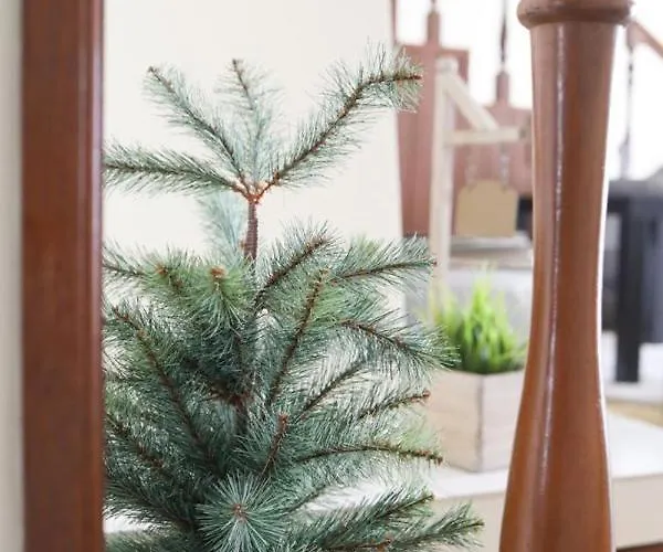 Hostel Mindelo Maison d'hôtes Mindelo