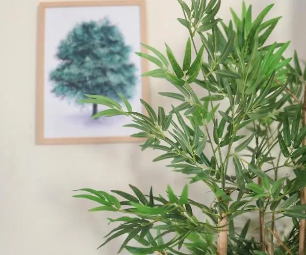 بيت ضيافة Hostel Mindelo