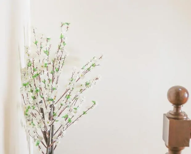 Hostel Mindelo * Mindelo